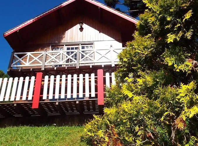 Florada Na Serra Monte Verde 